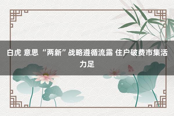 白虎 意思 “两新”战略遵循流露 住户破费市集活力足