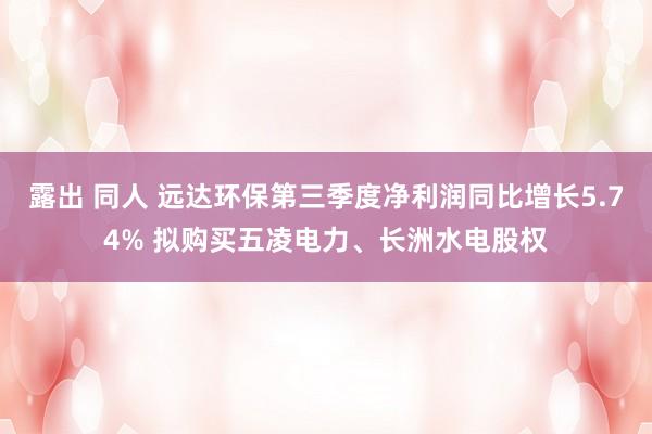 露出 同人 远达环保第三季度净利润同比增长5.74% 拟购买五凌电力、长洲水电股权