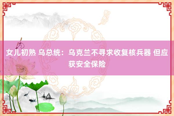 女儿初熟 乌总统：乌克兰不寻求收复核兵器 但应获安全保险