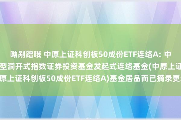 呦剐蹭哦 中原上证科创板50成份ETF连络A: 中原上证科创板50成份来回型洞开式指数证券投资基金发起式连络基金(中原上证科创板50成份ETF连络A)基金居品而已摘录更新(2024-11-28)