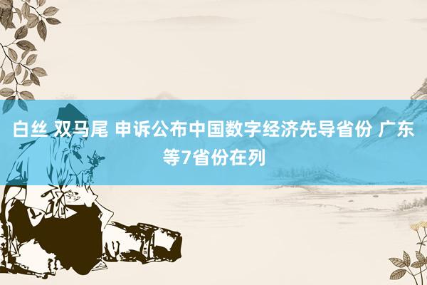 白丝 双马尾 申诉公布中国数字经济先导省份 广东等7省份在列