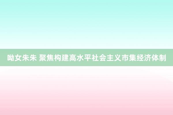 呦女朱朱 聚焦构建高水平社会主义市集经济体制