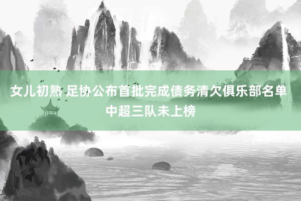 女儿初熟 足协公布首批完成债务清欠俱乐部名单 中超三队未上榜