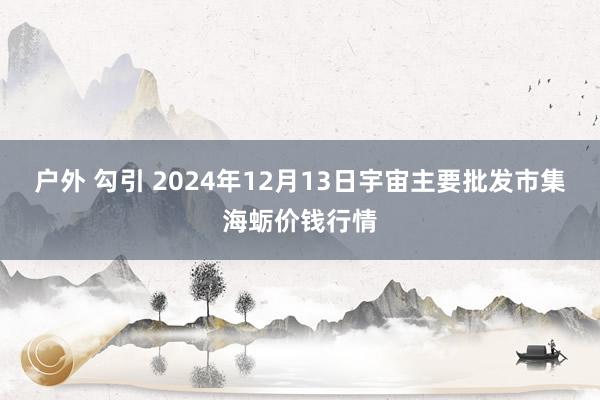 户外 勾引 2024年12月13日宇宙主要批发市集海蛎价钱行情