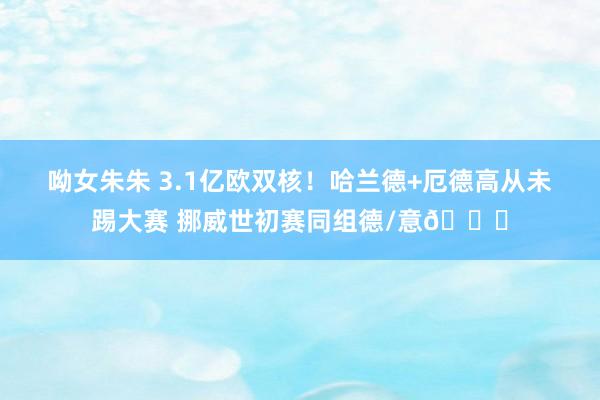 呦女朱朱 3.1亿欧双核！哈兰德+厄德高从未踢大赛 挪威世初赛同组德/意👀