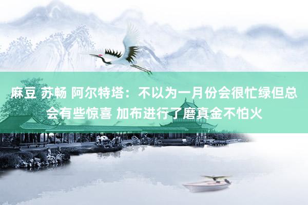 麻豆 苏畅 阿尔特塔：不以为一月份会很忙绿但总会有些惊喜 加布进行了磨真金不怕火