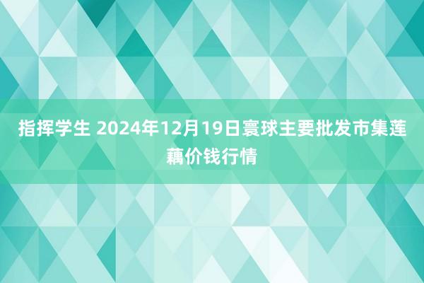 指挥学生 2024年12月19日寰球主要批发市集莲藕价钱行情
