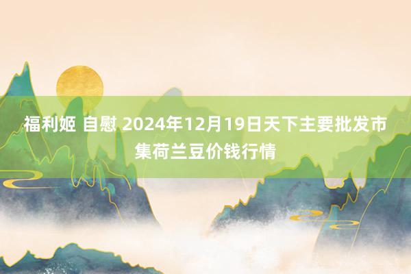 福利姬 自慰 2024年12月19日天下主要批发市集荷兰豆价钱行情