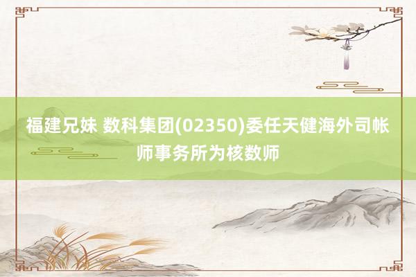 福建兄妹 数科集团(02350)委任天健海外司帐师事务所为核数师