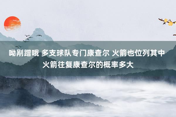 呦剐蹭哦 多支球队专门康查尔 火箭也位列其中 火箭往复康查尔的概率多大