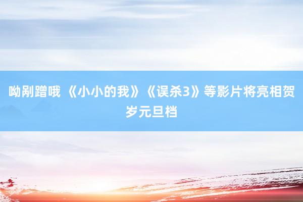 呦剐蹭哦 《小小的我》《误杀3》等影片将亮相贺岁元旦档