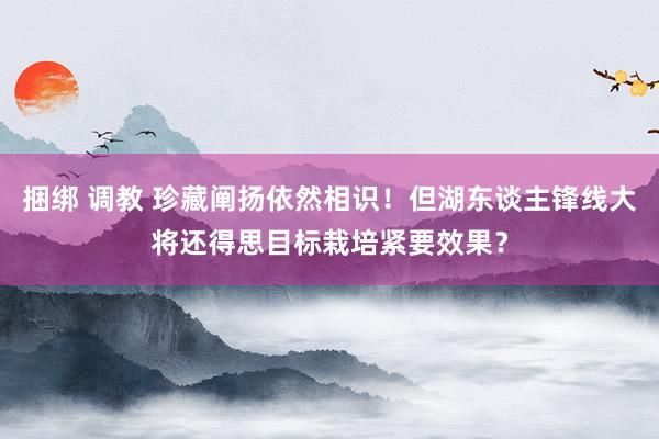 捆绑 调教 珍藏阐扬依然相识！但湖东谈主锋线大将还得思目标栽培紧要效果？