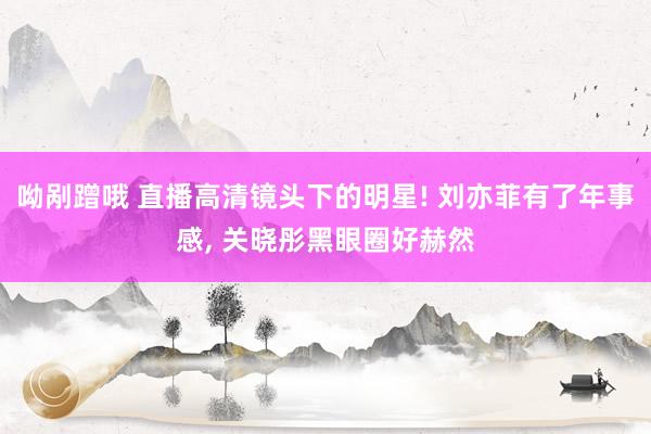 呦剐蹭哦 直播高清镜头下的明星! 刘亦菲有了年事感， 关晓彤黑眼圈好赫然
