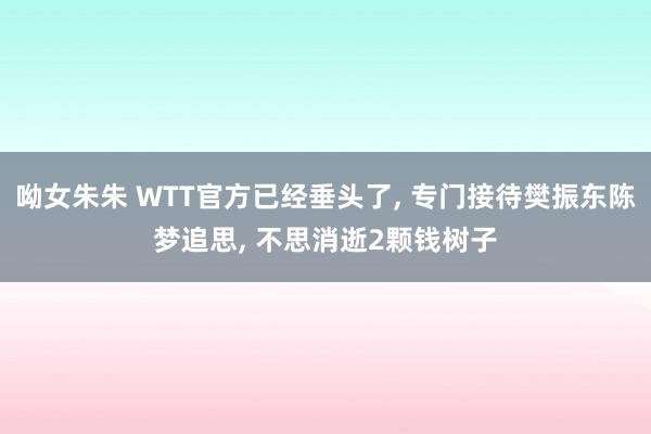 呦女朱朱 WTT官方已经垂头了， 专门接待樊振东陈梦追思， 不思消逝2颗钱树子