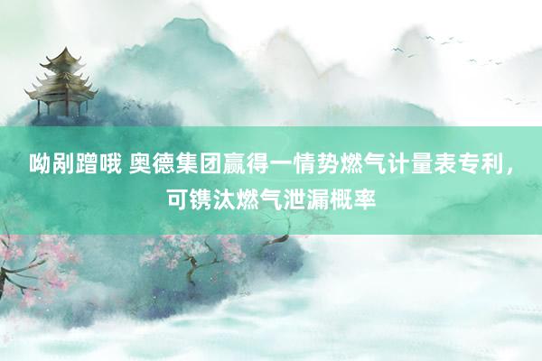 呦剐蹭哦 奥德集团赢得一情势燃气计量表专利，可镌汰燃气泄漏概率