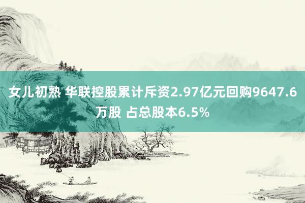 女儿初熟 华联控股累计斥资2.97亿元回购9647.6万股 占总股本6.5%