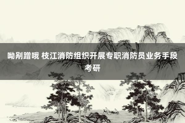 呦剐蹭哦 枝江消防组织开展专职消防员业务手段考研