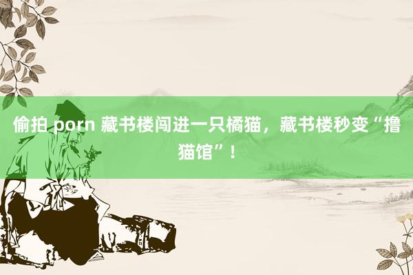 偷拍 porn 藏书楼闯进一只橘猫，藏书楼秒变“撸猫馆”！