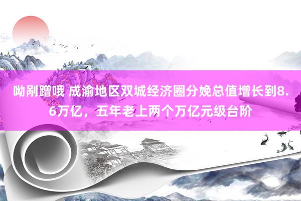 呦剐蹭哦 成渝地区双城经济圈分娩总值增长到8.6万亿，五年老上两个万亿元级台阶