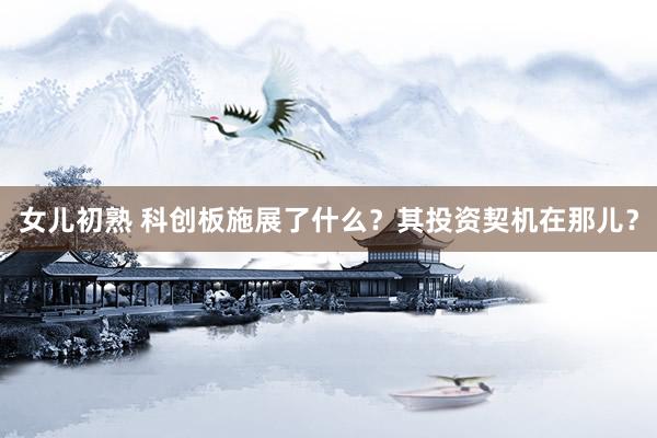 女儿初熟 科创板施展了什么？其投资契机在那儿？