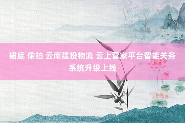 裙底 偷拍 云南建投物流 云上营家平台智能关务系统升级上线