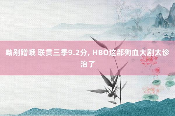 呦剐蹭哦 联贯三季9.2分， HBO这部狗血大剧太诊治了